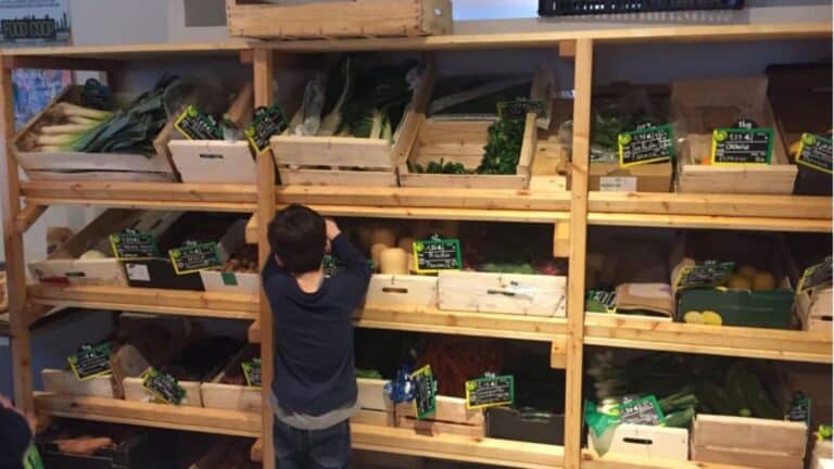 Chouette -coop - lonama blog