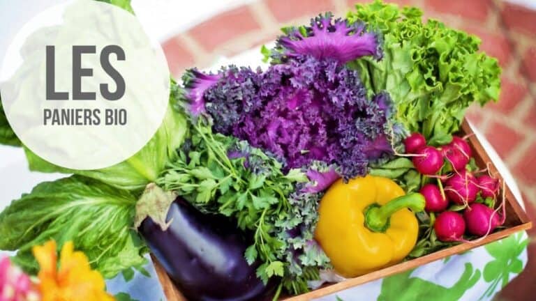 Paniers bios - lonama blo