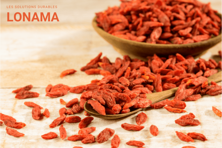 La baie de goji : le plus connu des superaliments