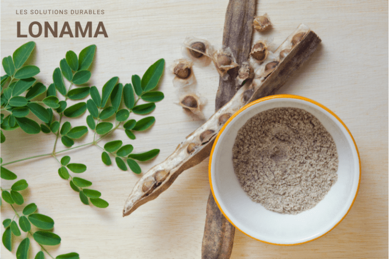 Les bienfaits du Moringa