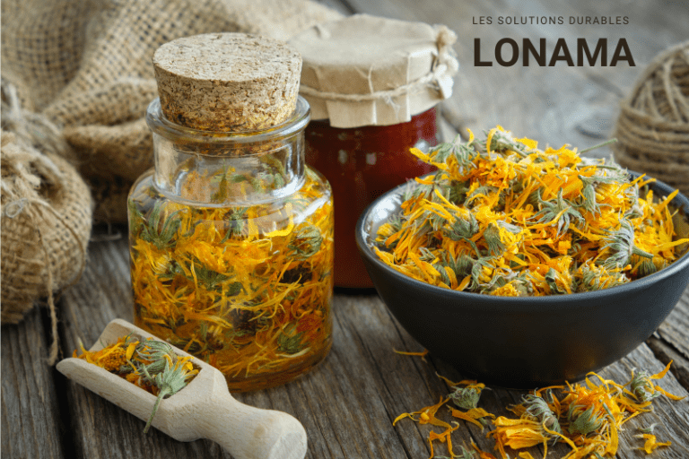 Utiliser la médecine douce pour se soigner