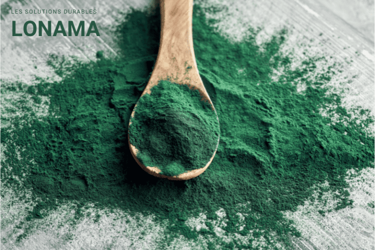 La spiruline : un superaliment surprenant