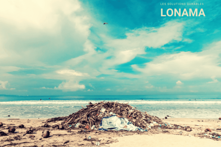 Réduire ses déchets : comment organiser ses poubelles de cuisine
