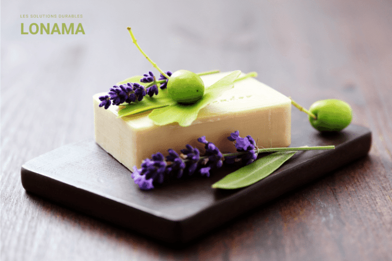 Porte-savon naturel : pourquoi le choisir ?
