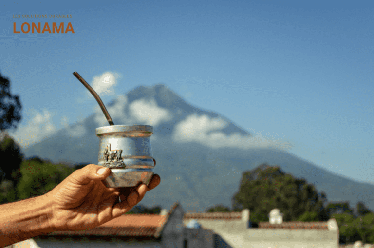 Quelles sont les bienfaits du maté ?