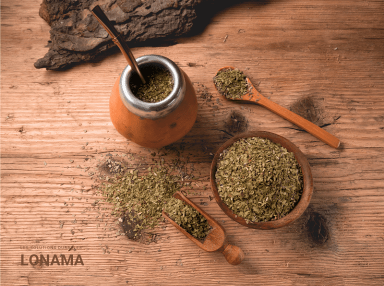 Qu’est-ce que le maté ?