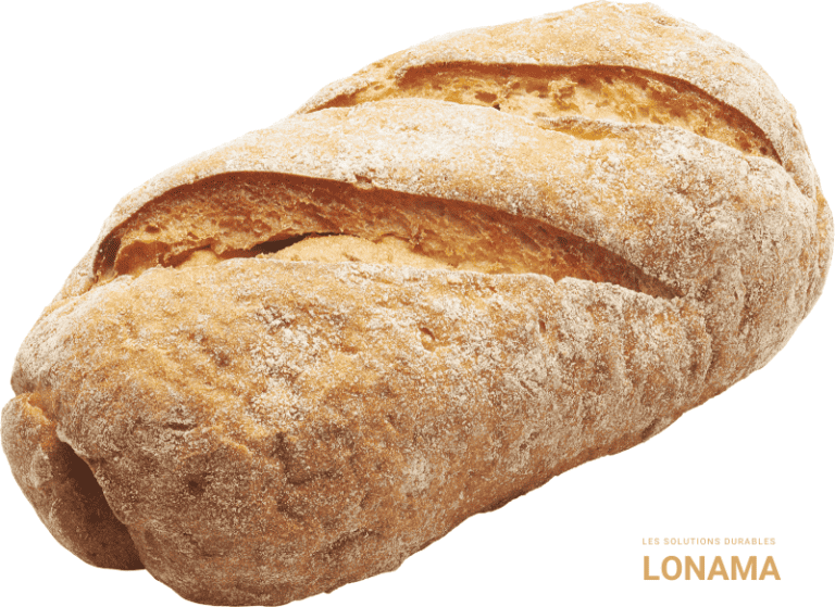 Pain sans gluten : tout savoir sur cet aliment typique