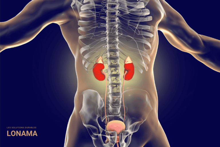 L’Incontinence Légère au Masculin : nos Solutions Durables