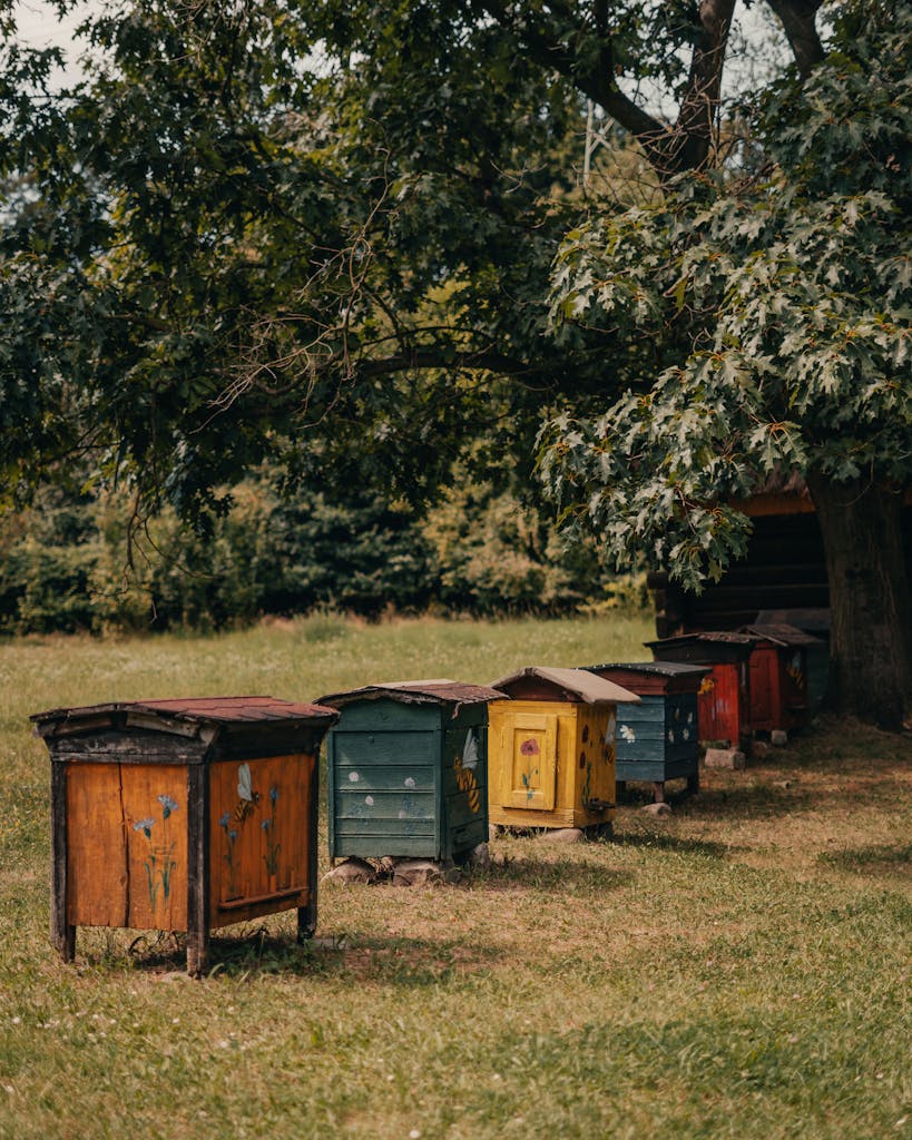 Charming colorful beehives in a serene Polish countryside setting, under lush trees.