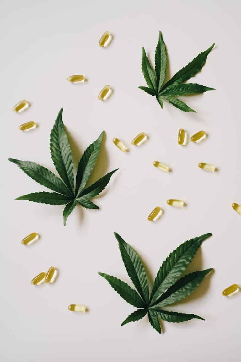 Flat lay of cannabis leaves and CBD capsules on a white background, symbolizing natural health.