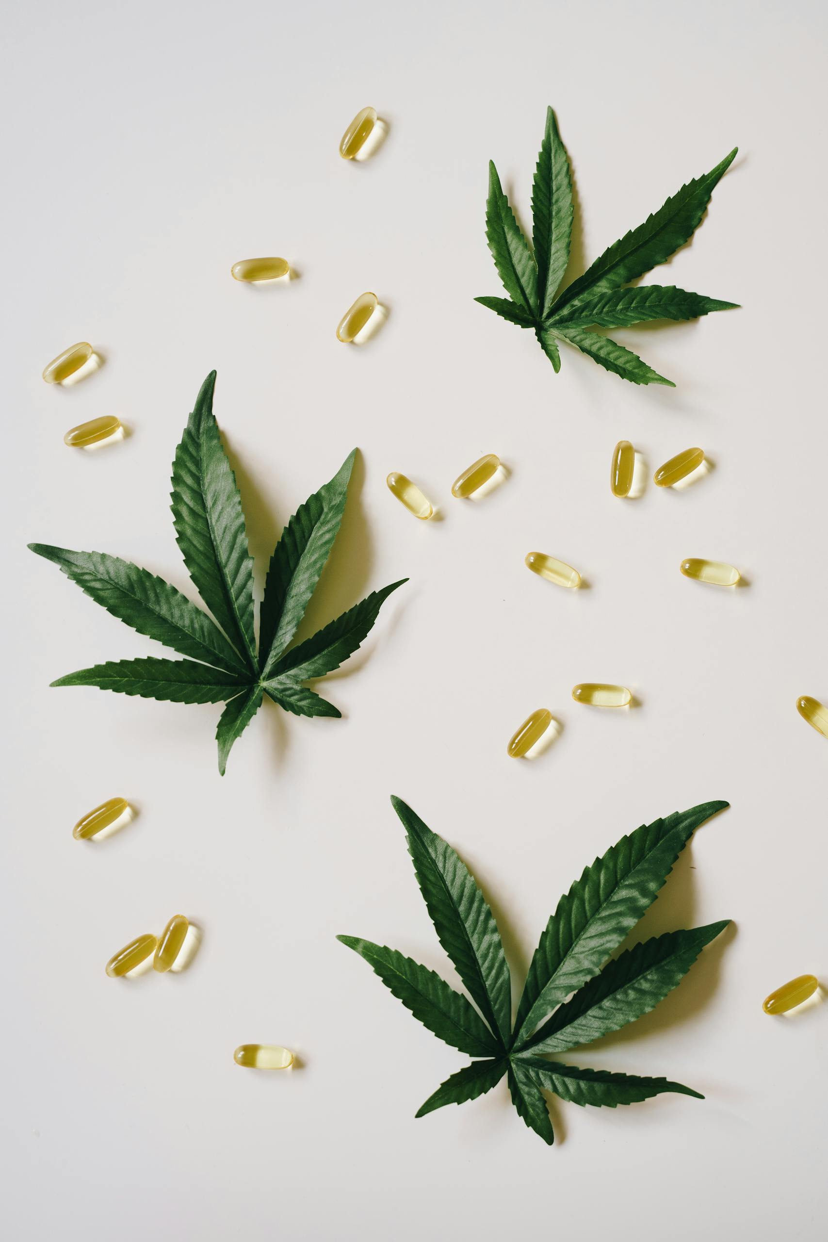 Flat lay of cannabis leaves and CBD capsules on a white background, symbolizing natural health.
