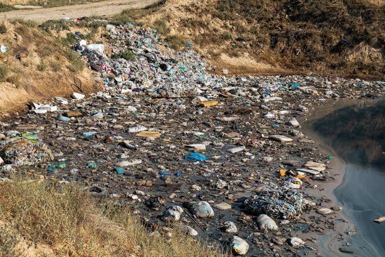 Plastic waste and debris polluting a riverbank, highlighting environmental challenges.